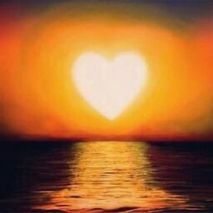 Meet your Posher, Ty